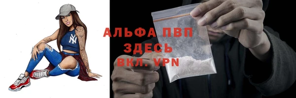 эйфоретик Баксан