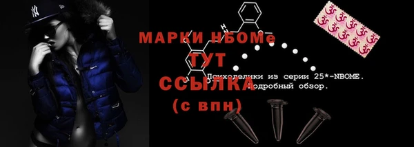 эйфоретик Баксан