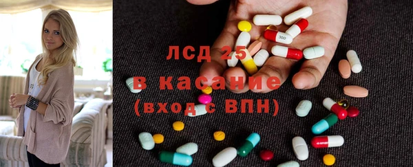 эйфоретик Баксан