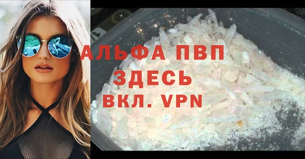 эйфоретик Баксан
