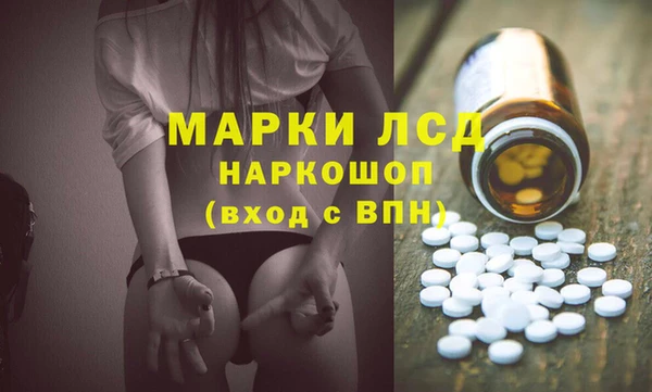 эйфоретик Баксан