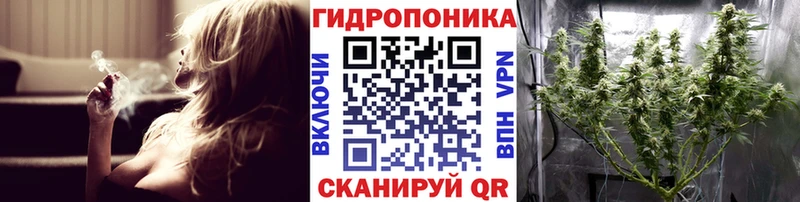 где купить наркоту  Шали  мега зеркало  сайты даркнета телеграм  Конопля тримм 